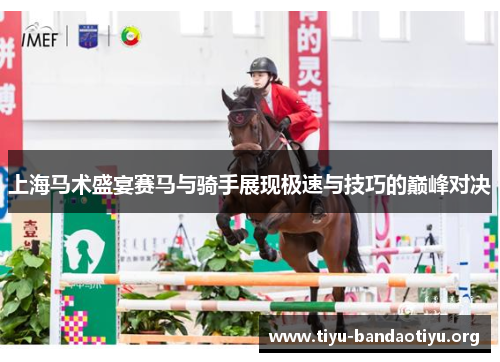 上海马术盛宴赛马与骑手展现极速与技巧的巅峰对决