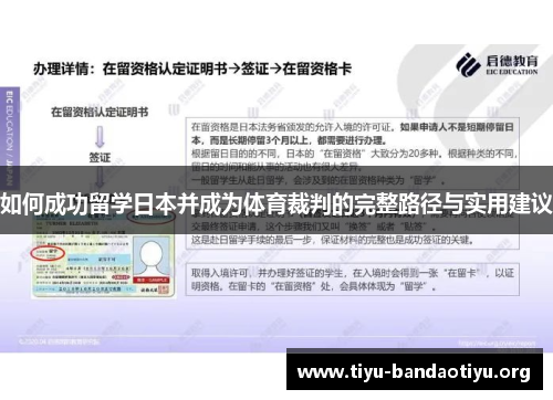 如何成功留学日本并成为体育裁判的完整路径与实用建议