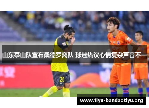 山东泰山队宣布桑德罗离队 球迷热议心情复杂声音不一
