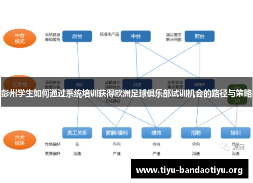 彭州学生如何通过系统培训获得欧洲足球俱乐部试训机会的路径与策略