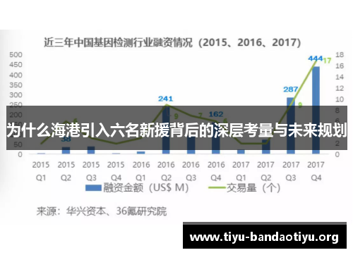 为什么海港引入六名新援背后的深层考量与未来规划