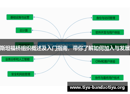斯坦福桥组织概述及入门指南，带你了解如何加入与发展