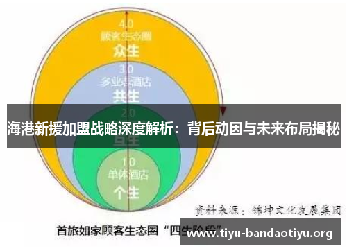 海港新援加盟战略深度解析：背后动因与未来布局揭秘
