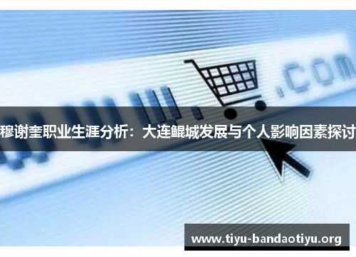 穆谢奎职业生涯分析：大连鲲城发展与个人影响因素探讨